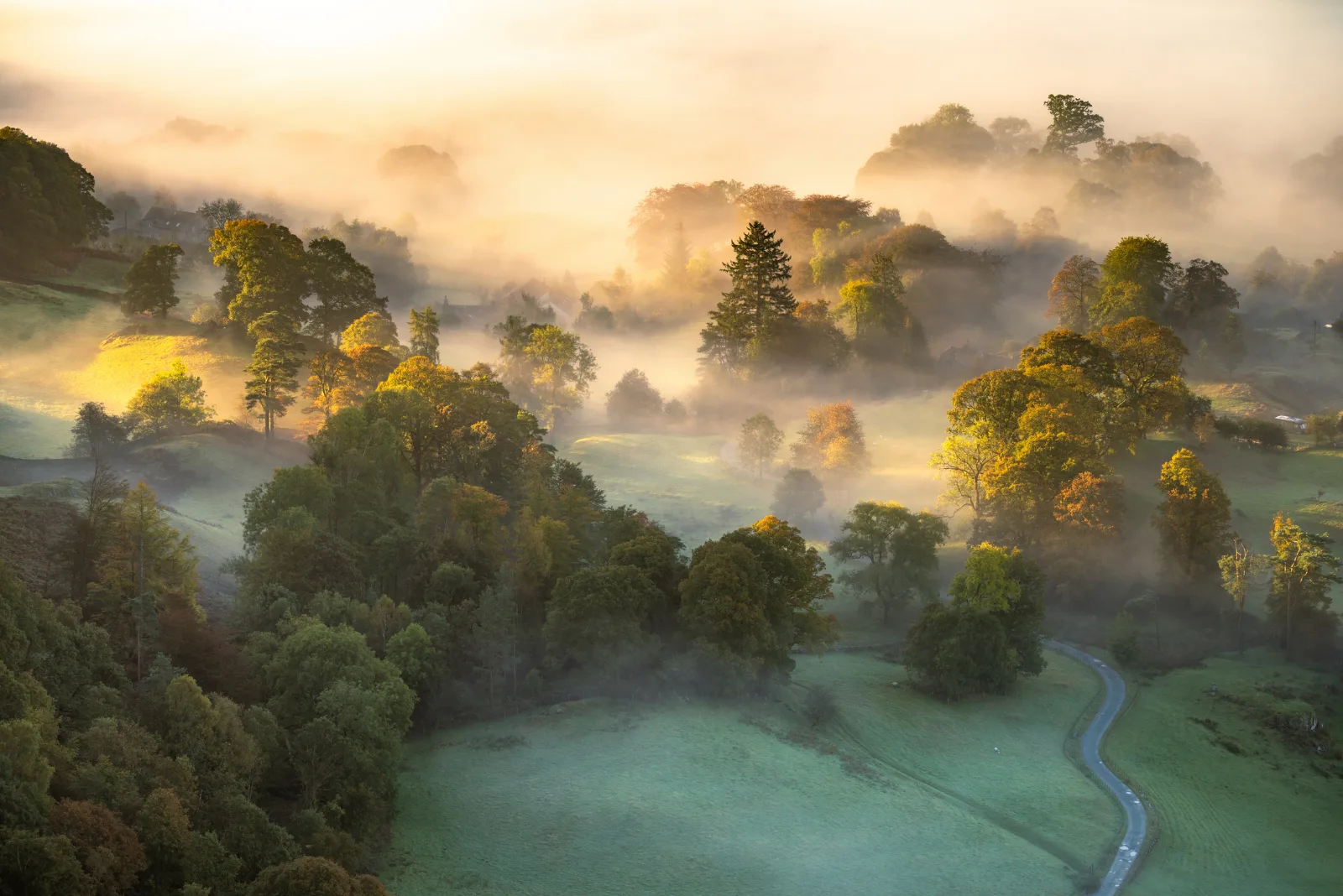 Sonnendurchflutetes Tal im Morgennebel